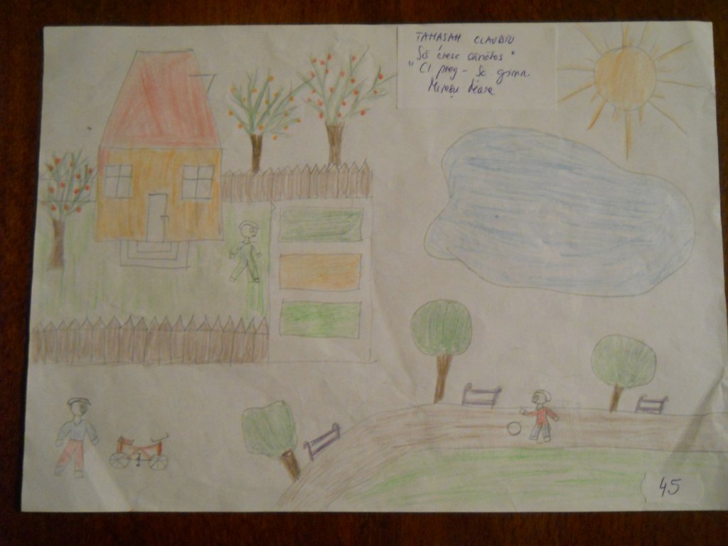 45_Tamasan Claudiu_Sc Mires_prim.JPG